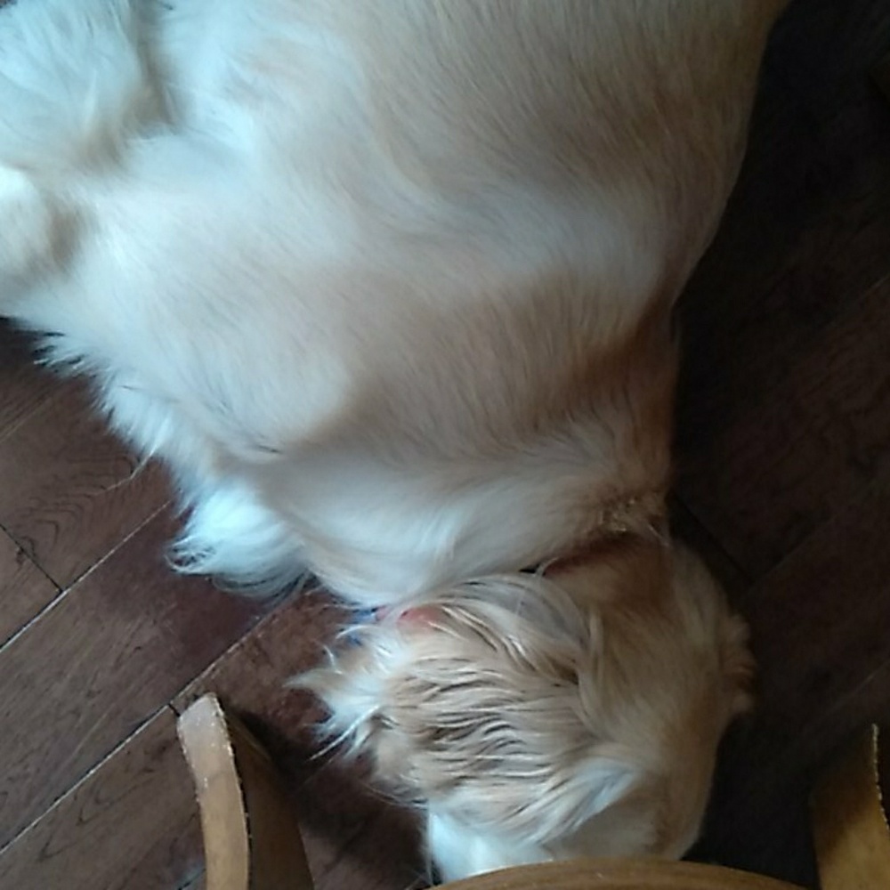 Meet your Posher, Kelly